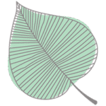 favicon favicon