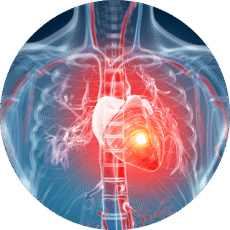 heart-graphic heart graphic
