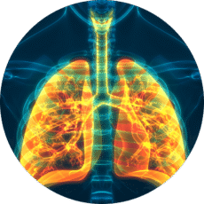 lungs-graphic lungs graphic