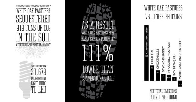 happy cow image Grain Vs Grass Fed Cow Carbon Emissions