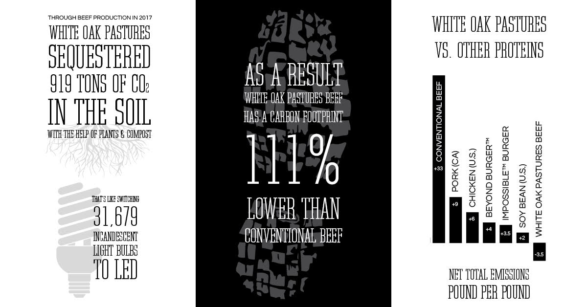 Grain Vs Grass Fed Cow Carbon Emissions