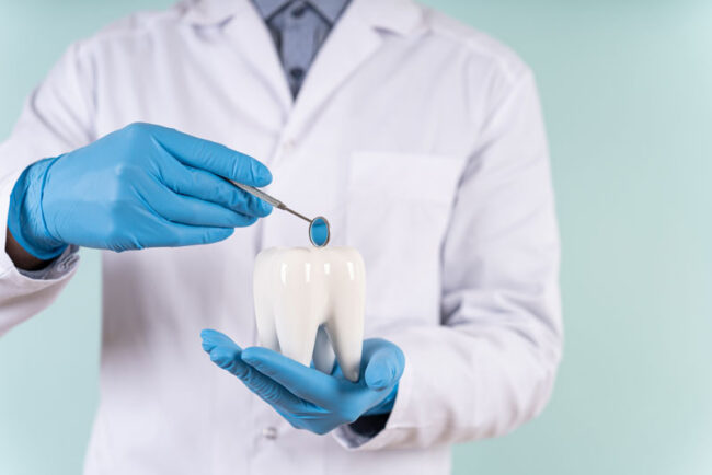 dentist-holding-oversize-implant-model a dental implant dentist holding an oversized dental implant model.